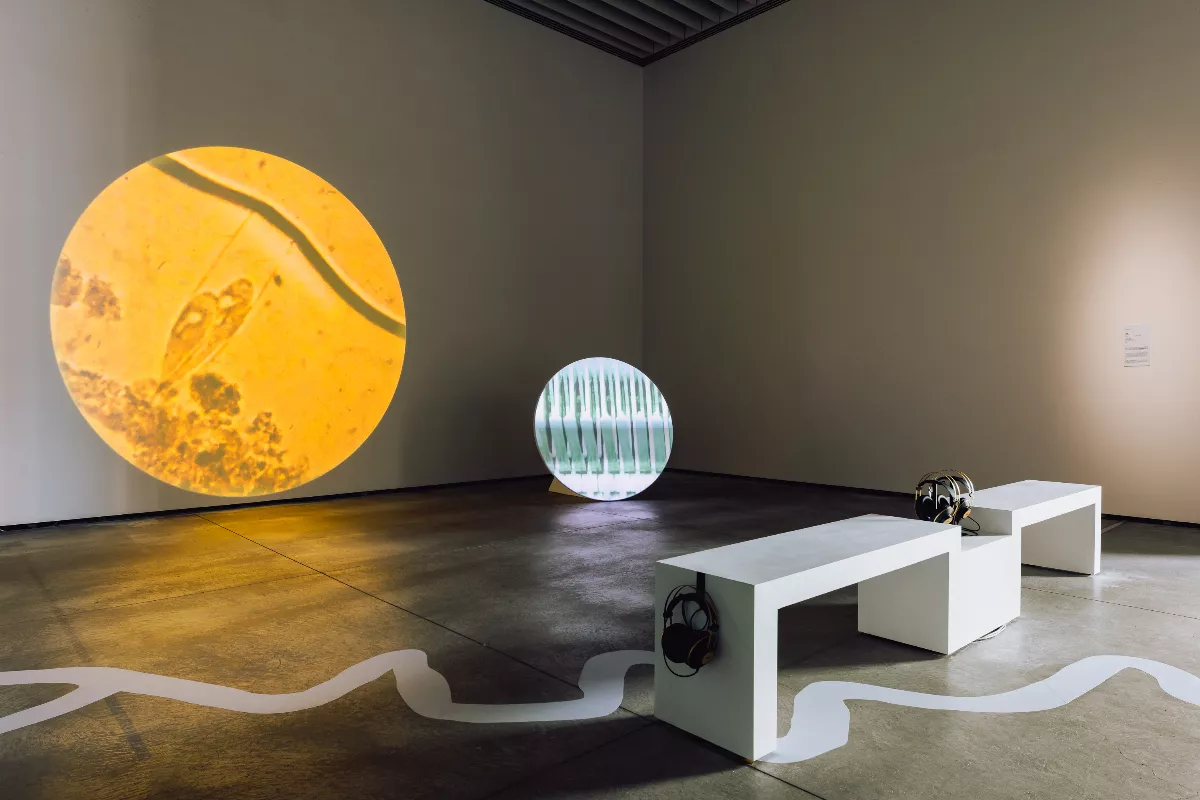 為溪流寫一首歌  我們從河而來南美館展出